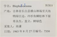 登錄號:B00015818藏品圖，第2張