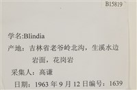 登錄號:B00015819藏品圖，第2張