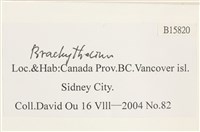 登錄號:B00015820藏品圖，第2張