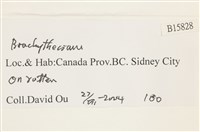 登錄號:B00015828藏品圖，第2張