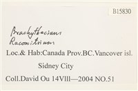 登錄號:B00015830藏品圖，第2張