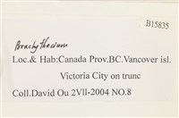 登錄號:B00015835藏品圖，第2張