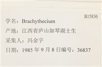 登錄號:B00015836藏品圖，第2張