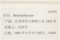 登錄號:B00015838藏品圖，第2張