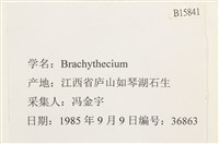 登錄號:B00015841藏品圖，第2張