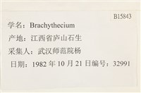 登錄號:B00015843藏品圖，第2張