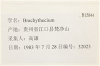 登錄號:B00015844藏品圖，第2張