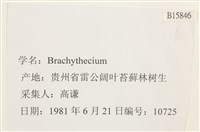 登錄號:B00015846藏品圖，第2張