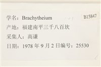 登錄號:B00015847藏品圖，第2張