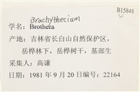 登錄號:B00015848藏品圖，第2張