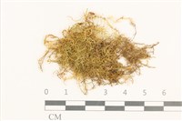 登錄號:B00015848藏品圖，第1張