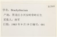 登錄號:B00015849藏品圖，第2張