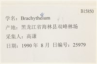 登錄號:B00015850藏品圖，第2張