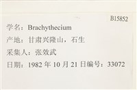 登錄號:B00015852藏品圖，第2張