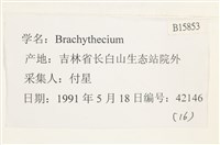 登錄號:B00015853藏品圖，第2張