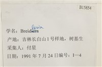 登錄號:B00015854藏品圖，第2張