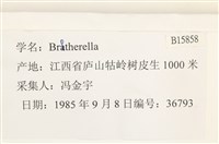 登錄號:B00015858藏品圖，第2張