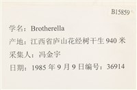 登錄號:B00015859藏品圖，第2張