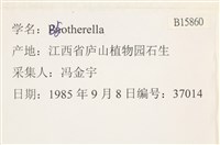 登錄號:B00015860藏品圖，第2張