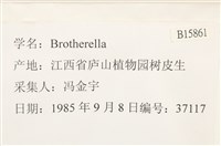 登錄號:B00015861藏品圖，第2張