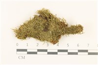 登錄號:B00015861藏品圖，第1張