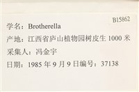 登錄號:B00015862藏品圖，第2張