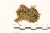 登錄號:B00015862藏品圖，第1張