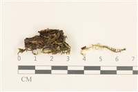 登錄號:B00015863藏品圖，第1張