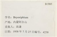 登錄號:B00015865藏品圖，第2張