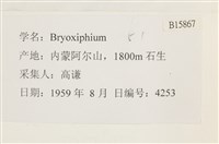登錄號:B00015867藏品圖，第2張