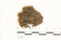 登錄號:B00015867藏品圖，第1張