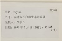 登錄號:B00015868藏品圖，第2張
