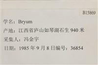 登錄號:B00015869藏品圖，第2張