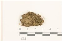 登錄號:B00015869藏品圖，第1張