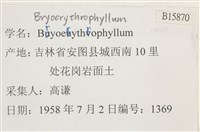 登錄號:B00015870藏品圖，第2張