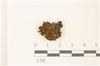 登錄號:B00015870藏品圖，第1張
