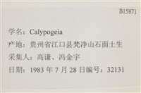 登錄號:B00015871藏品圖，第2張