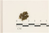 登錄號:B00015871藏品圖，第1張