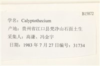 登錄號:B00015872藏品圖，第2張