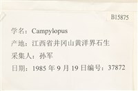 登錄號:B00015875藏品圖，第2張