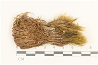 登錄號:B00015875藏品圖，第1張