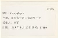 登錄號:B00015876藏品圖，第2張