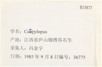 登錄號:B00015877藏品圖，第2張