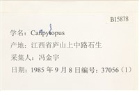登錄號:B00015878藏品圖，第2張