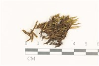 登錄號:B00015878藏品圖，第1張
