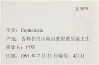 登錄號:B00015879藏品圖，第2張