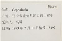 登錄號:B00015880藏品圖，第2張