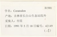登錄號:B00015881藏品圖，第2張