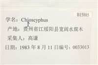 登錄號:B00015885藏品圖，第2張