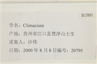 登錄號:B00015891藏品圖，第2張